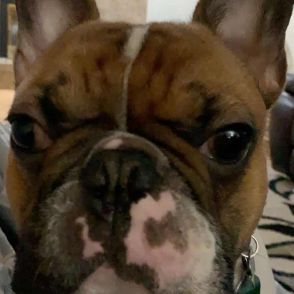 Meet your Posher, Brielle